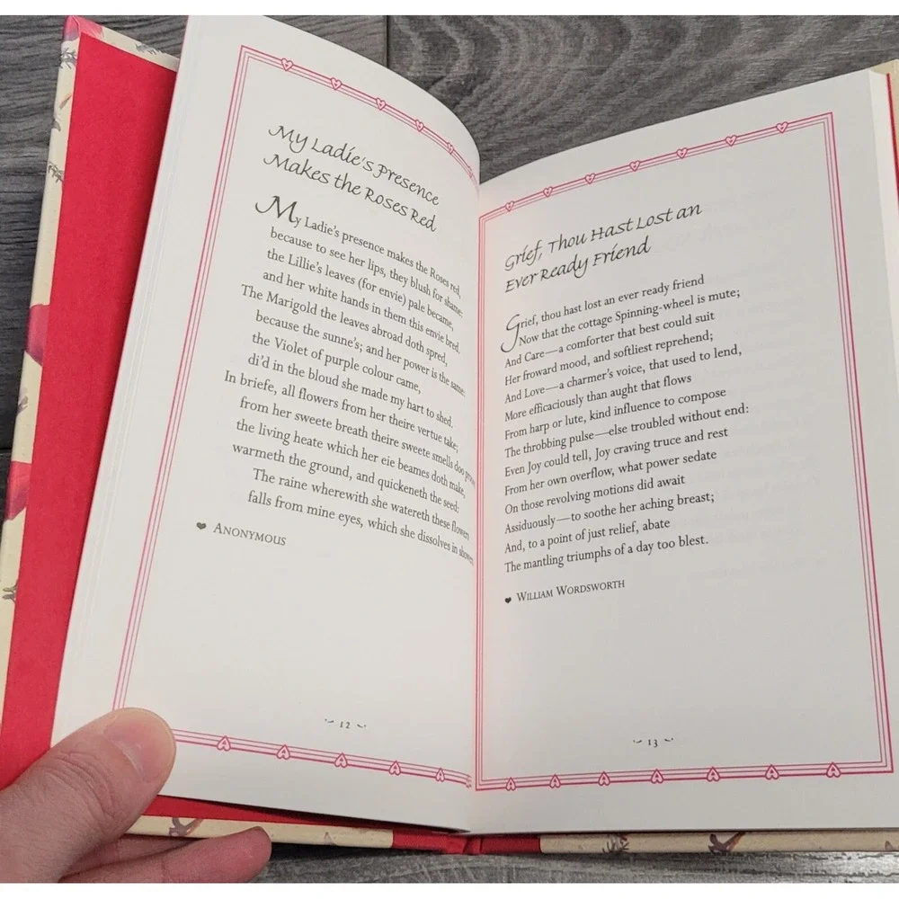 Sonnets Of Love And Friendship by Holly McConnaughy (Hardcover)